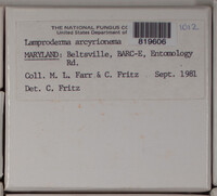 Image Associated With the Occurence